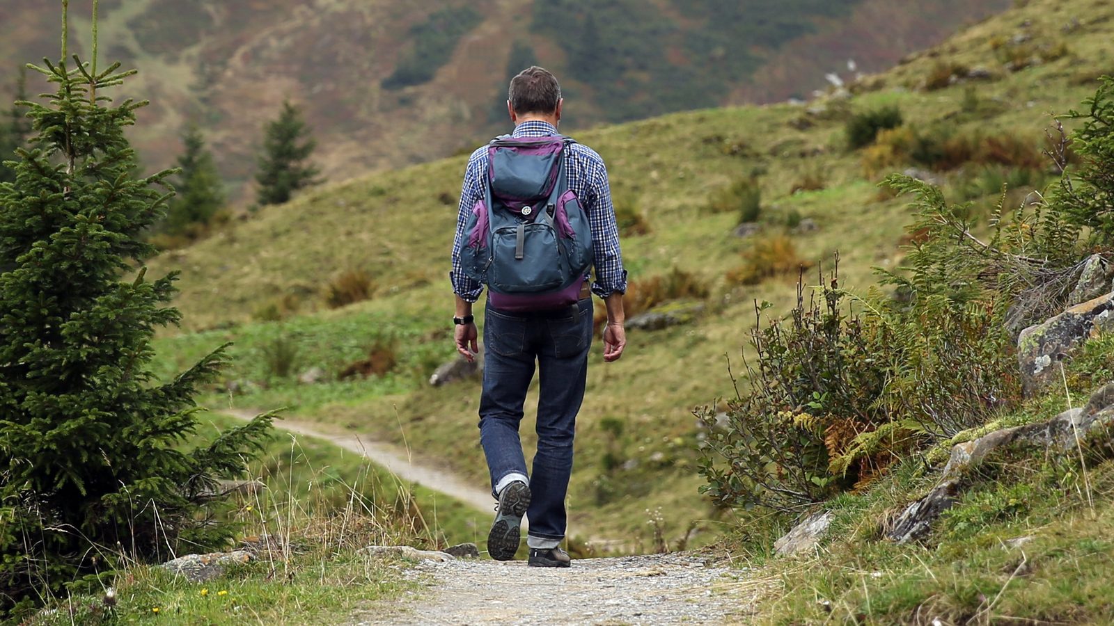A hiker walking up a mountain trail